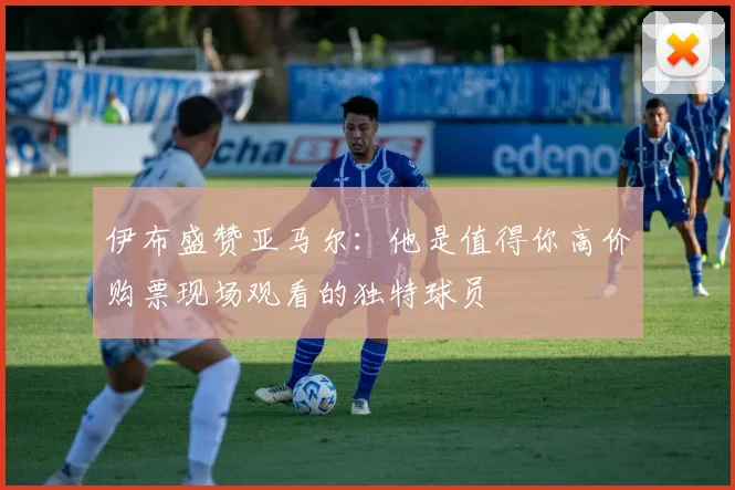 伊布盛赞亚马尔：他是值得你高价购票现场观看的独特球员